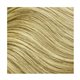 Hair & Root Color Platinum Blonde 06