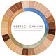 Airbrush Foundation Perfect Canvas 30 ml Rosewood